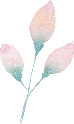 Watercolor Flower Bud Illustration